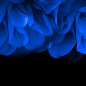 Meet your Posher, Kody